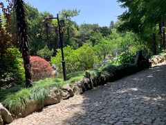 -叶家花园