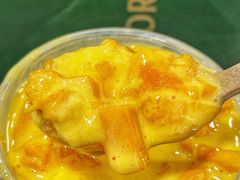 -茉酸奶(春熙路店)