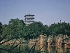 -Supine Bistro溯泮餐厅