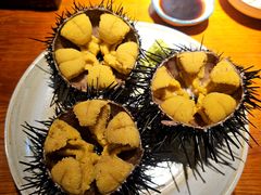 -桂马·日本料理·海胆·海鲜饭·酒场(民主广场店)