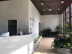 -伟伟宠物医院·瑞派猫友好医院·猫科(光谷店)