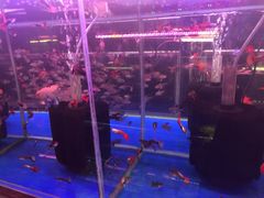 -秦美花卉(天朗·莱茵小城2期店)