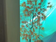 -水云空涧·沐足·采耳·按摩·SPA影院(琶洲店)