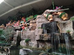 -南宫五洲植物乐园