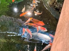 -聚缘堂·海鲜私房菜(松岭路店)