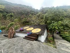 -石台牯牛降景区