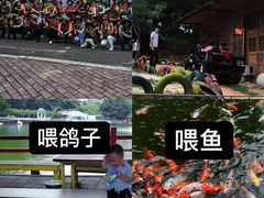 -松山湖南湖湾露营营地