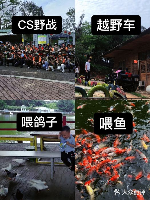 松山湖南湖湾露营营地图片