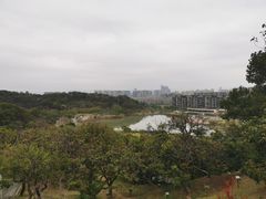-飞凤山奥体公园