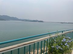 -望湖烤鱼