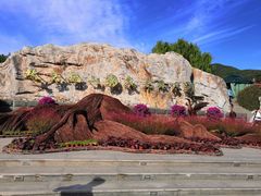 -北京西山国家森林公园