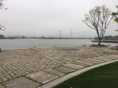 -长田漾湿地公园