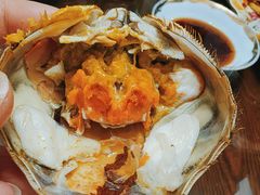 -黄记大闸蟹专卖店·活蟹·醉蟹