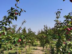 -商丘古城-应天书院