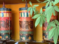 -缘生态云南菜·野生菌庭院餐厅(华侨城店)
