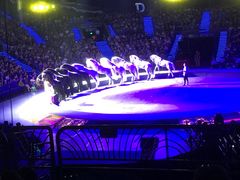 -珠海横琴长隆《卡卡虎奇遇记》