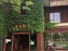 -东滩湿地公园观海楼餐厅