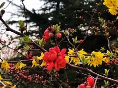 -大兴滨河森林公园