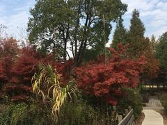 -宝界山林公园
