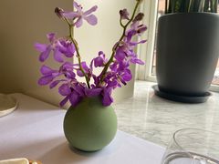 -蝶舍·MAISON PAPILLON