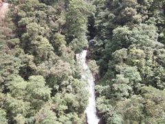 -九龙江国家森林公园