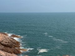 -广东惠东海龟国家级自然保护区