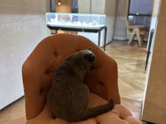 -Me Coffee下午茶艺术空间