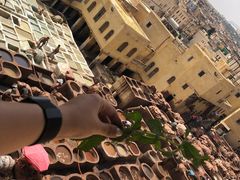 -穆莱拉赫制革厂