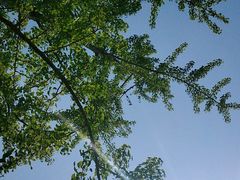 -白鹭湾湿地公园