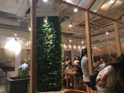 -悦诗风吟innisfree