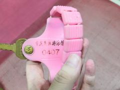 -重庆市奥林匹克体育中心-游泳跳水馆