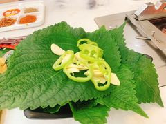 苏子叶-延边白玉串城(东环城路店)