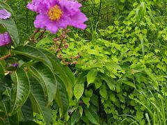 -万达广场(惠州大亚湾店)