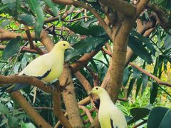 -尼依格罗香港美利酒店