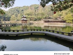 -忠山公园