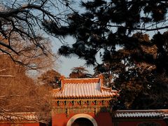 -北陵公园