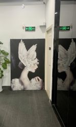 -DEM缔怡美科技美容