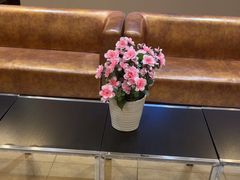 -美年大健康慈铭体检(徐汇卓越分院)