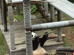 -大连森林动物园