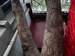 -仓山金山寺