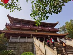 -三水森林公园