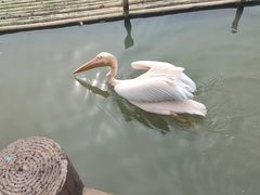 -宁波野生动物园