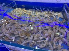 -澜悦港海鲜体验主题餐厅