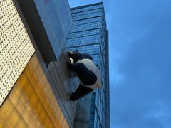 -成都金河宾馆(宽窄巷子店)