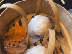-金鼎轩(鸟巢北辰荟店)