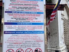 -槟城街头艺术街区