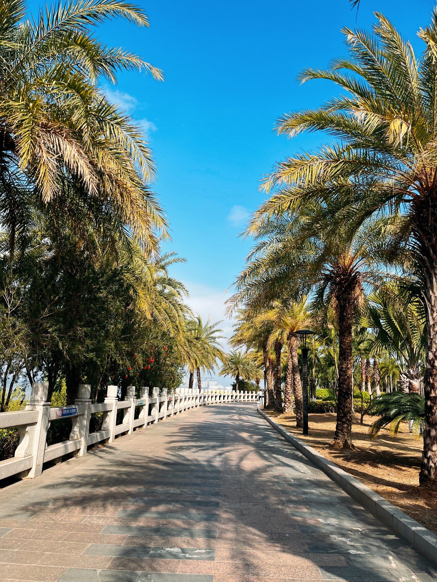 广东小三亚⛱️海风拂面的美景🌴
