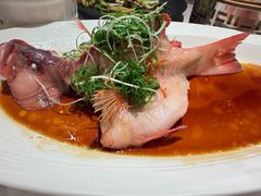 -南海渔村(珠江新城店)