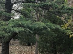 -白水寺森林公园
