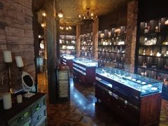 -雪灵魔法世界SHELLY’S TAROT(大良桂畔里店)